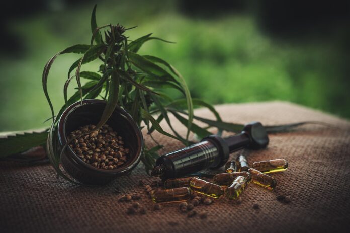 Hemp Seeds and Inflation Why Prices Are Rising and What It Means for Consumers