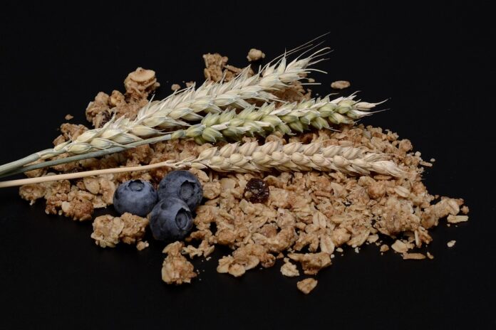 High protein and functional granola segments drive growth