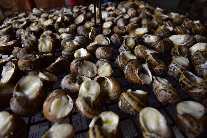 How Aioli Is Influencing Global Culinary Trends