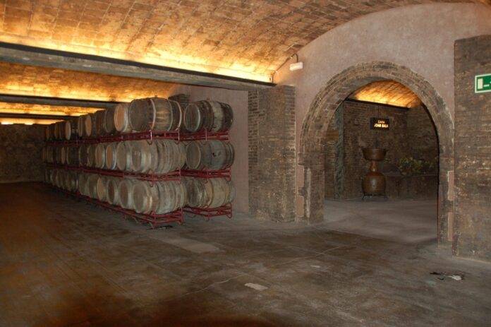 How Alsace wines balance intensity freshness and elegance