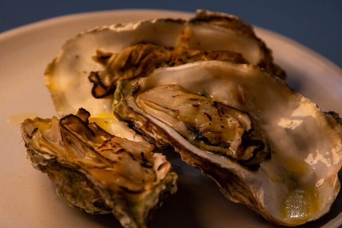 How Fresh Seafood Is Harvested Stored and Distributed Globally