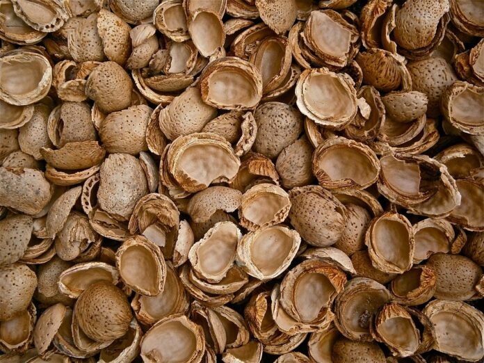 How Global Supply Chain Disruptions Are Impacting Almonds Availability