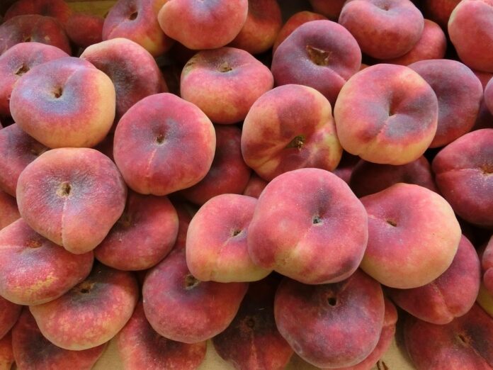 How Global Supply Chain Disruptions Are Impacting Peach Availability
