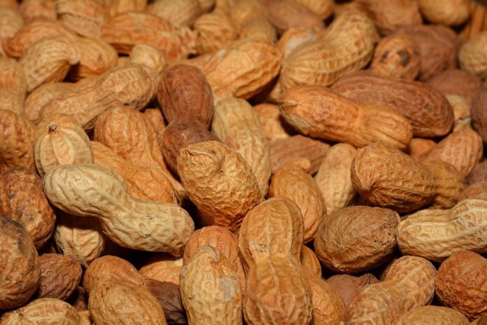 How Global Supply Chain Disruptions Are Impacting Peanut Availability