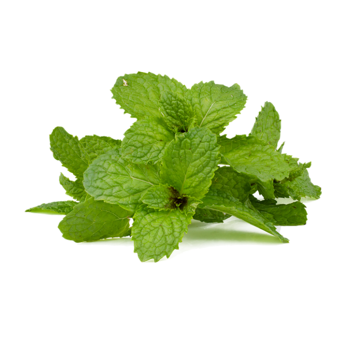 How Global Supply Chain Disruptions Are Impacting Peppermint Availability