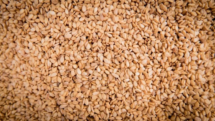 How Global Supply Chain Disruptions Are Impacting Sesame Seeds Availability
