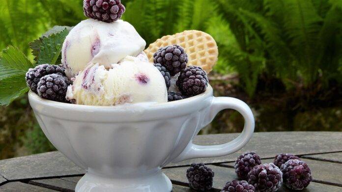 How Lactose Is Used as a Carrier and Bulking Agent