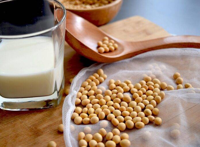 How Leading Soy Milk Brands Compete in a Crowded Plant Based Market