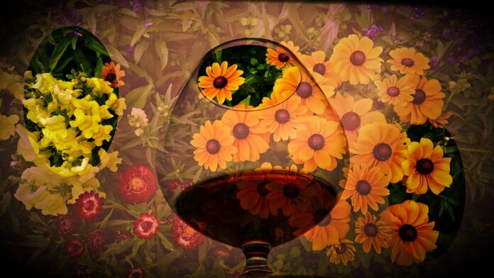 How cognac aging in Limousin oak barrels creates complex flavors