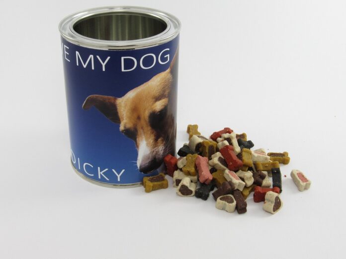 How dry kibble is manufactured from raw ingredients to packaged product