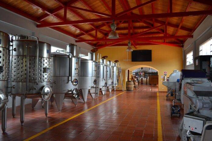 How emerging regions are producing world class Cabernet Sauvignon wines