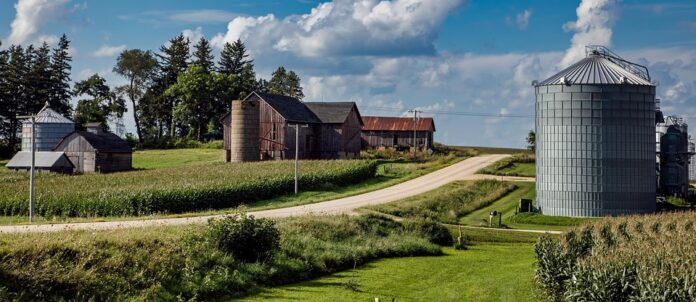 How grain bins protect quality and reduce post harvest losses