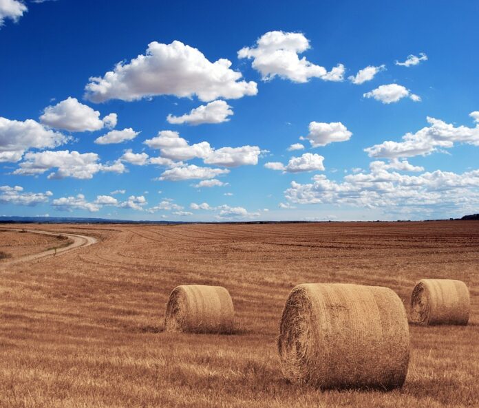 How mechanized land preparation improves crop yields and efficiency