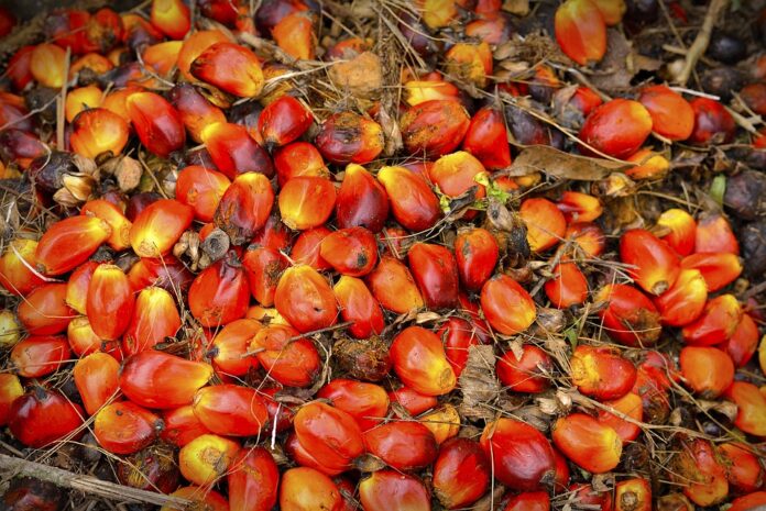 How packaging innovations are extending cooking oil shelf life