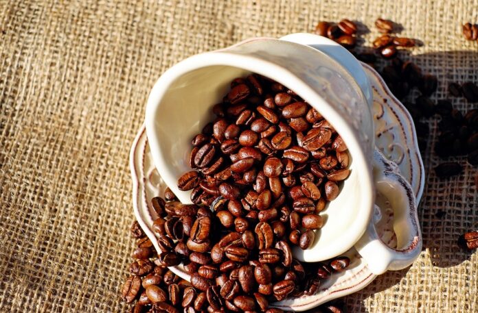 How sustainable sourcing of beans affects brand loyalty in coffee drinks