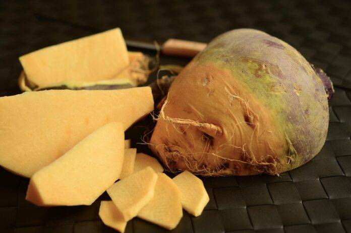 How the Global Supply Chain Disruptions Are Impacting Turnip Availability