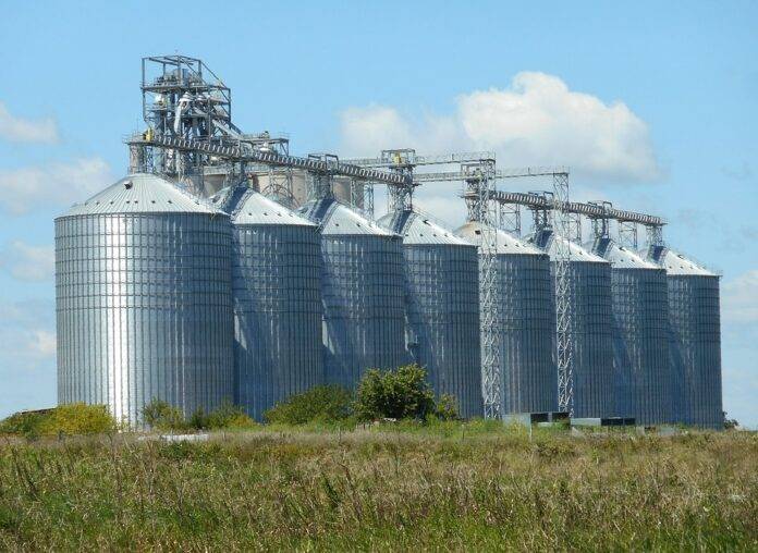 How to manage pest and mold risks in stored grain