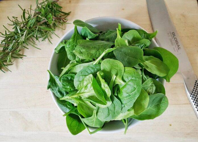 Hydroponic & Vertical Farming The Future of Spinach Production