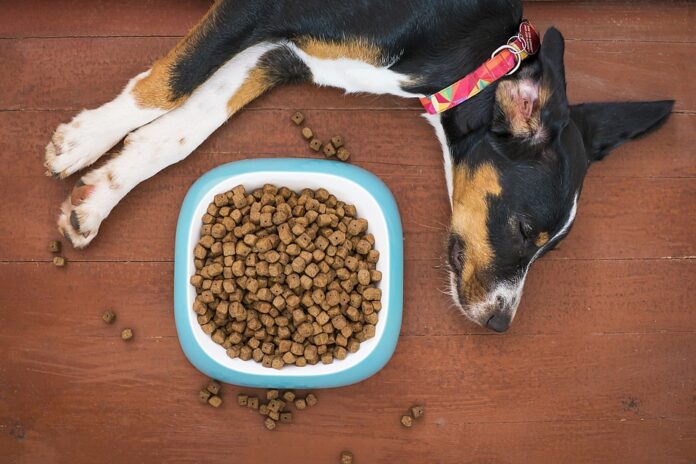 Ingredient trends in pet food from superfoods to novel proteins