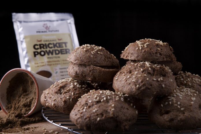 International demand grows for protein powders in Asia and Latin America