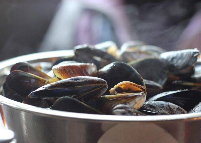 Labor Challenges in the Mussel Industry Workforce Trends and Automation Solutions