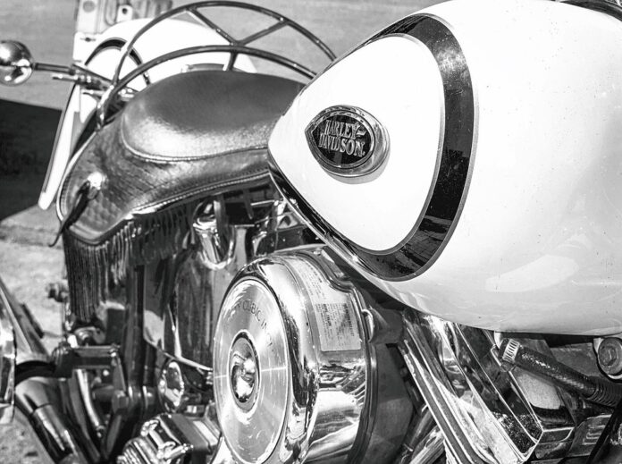 Leading manufacturers of professional chopper machines