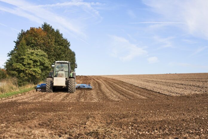 Lightweight seedbed tools for greenhouses and raised beds