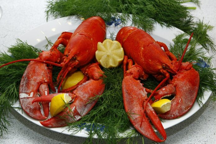 Lobster Tariffs and Trade Agreements How Global Policies Shape Prices