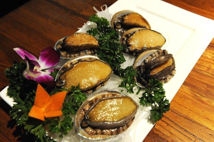 Logistics & Cold Storage Ensuring Fresh Abalone Supply Across Borders