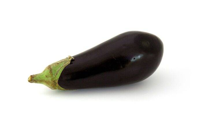 Logistics & Cold Storage Ensuring Fresh Eggplant Supply Across Borders
