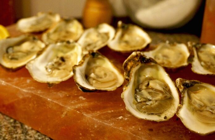 Logistics & Cold Storage Ensuring Fresh Oyster Supply Across Borders