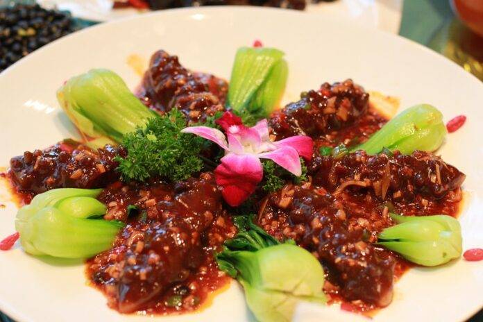 Logistics & Cold Storage Ensuring Fresh Sea Cucumber Supply Across Borders