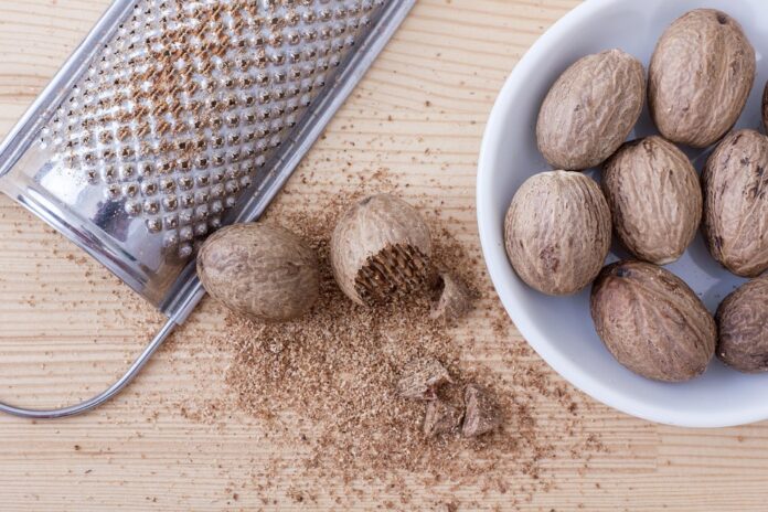 Logistics and Cold Storage Ensuring Fresh and Processed Nutmeg Supply Across Borders