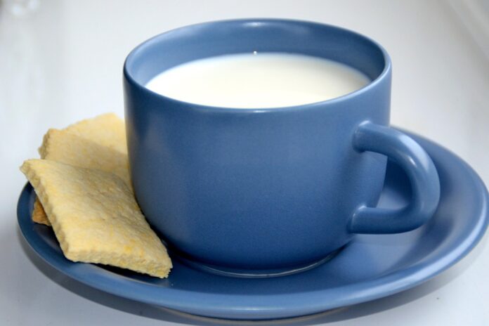 Logistics and Shelf Stability in Distributing Macadamia Milk Products