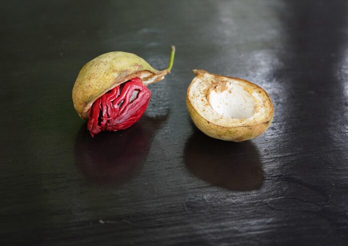 Nutmeg Production Trade and Consumption A 360° Industry Report