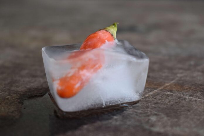 Omnichannel strategies in frozen food retail integrating online offline operations