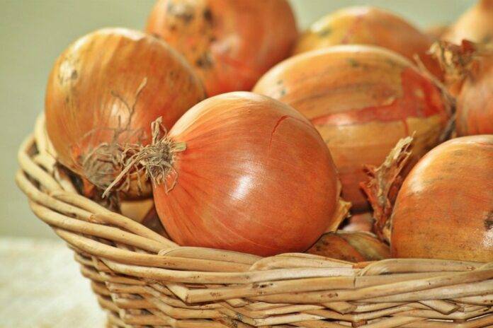 Onion Tariffs and Trade Agreements How Global Policies Shape Prices