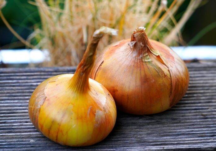 Onions & Inflation Why Prices Are Rising and What It Means for Consumers