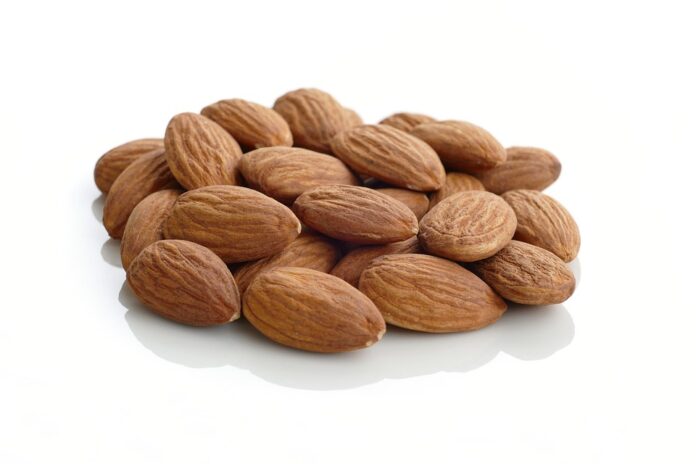 Organic vs Conventional Almonds Which Model Is More Sustainable and Profitable
