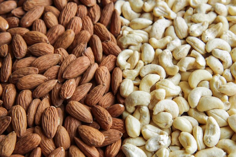 Organic vs Conventional Cashews Which Model Is More Sustainable and Profitable Organic vs Conventional Cashews Which Model Is More Sustainable and Profitable