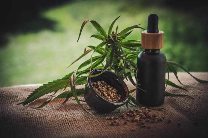 Organic vs Conventional Hemp Seeds Which Model Is More Sustainable and Profitable