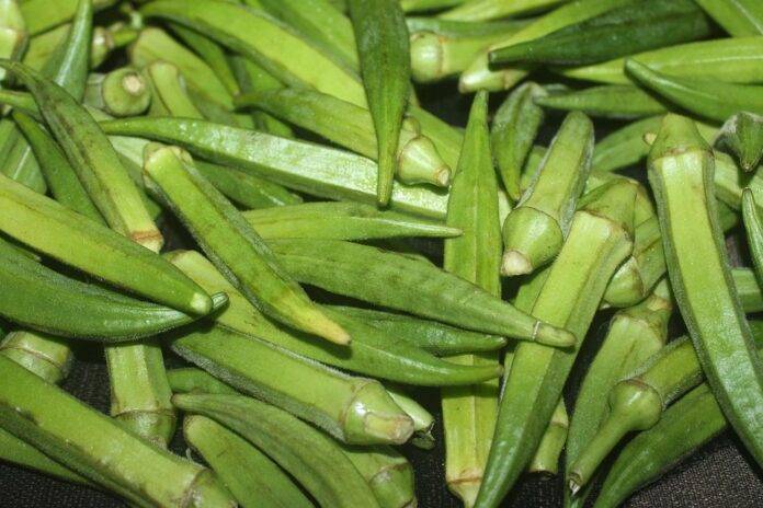 Organic vs Conventional Okra Farming Which Model is More Profitable