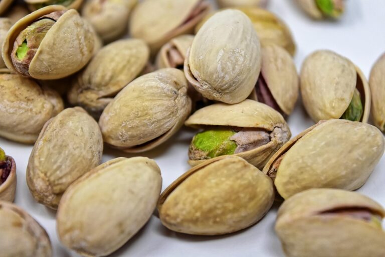 Organic vs Conventional Pistachios Which Model Is More Sustainable and Profitable Organic vs Conventional Pistachios Which Model Is More Sustainable and Profitable