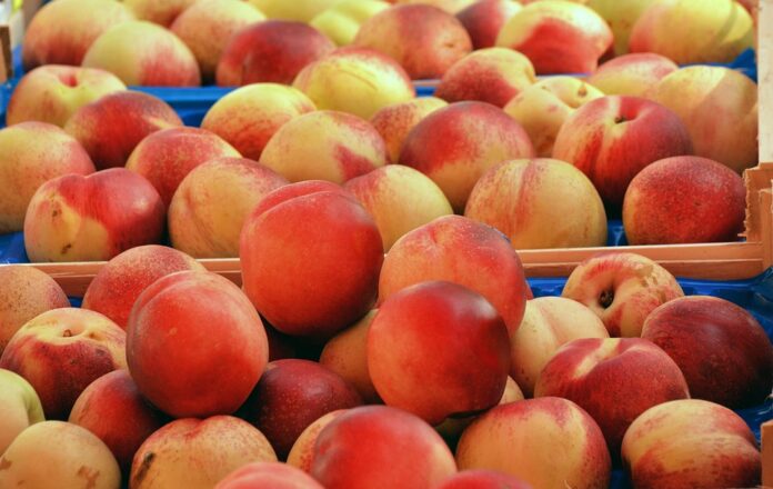 Peach Production Trade and Consumption A 360° Industry Report