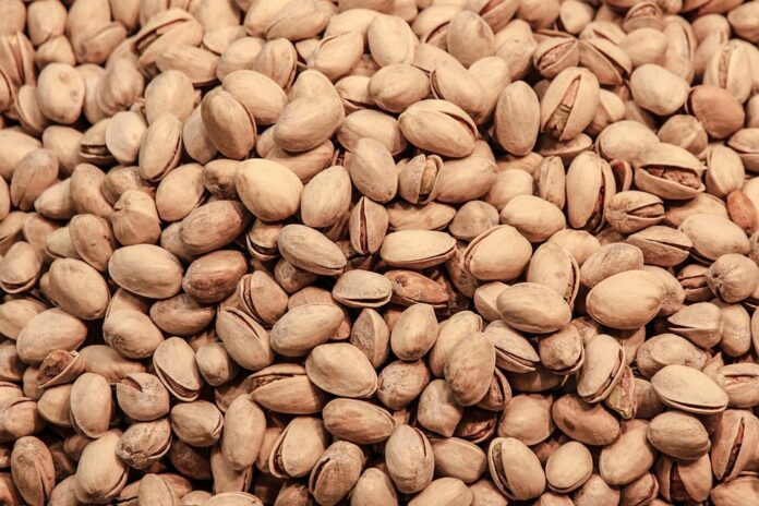 Pistachios Production Trade and Consumption A 360° Industry Report
