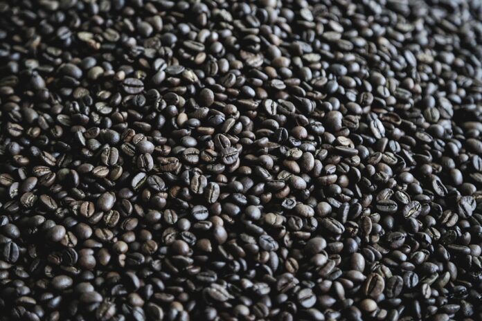 Post-Pandemic Shifts: How COVID-19 Reshaped the Café Landscape