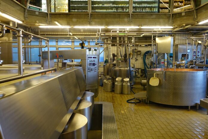 Precision curd cutting blades and motion control systems