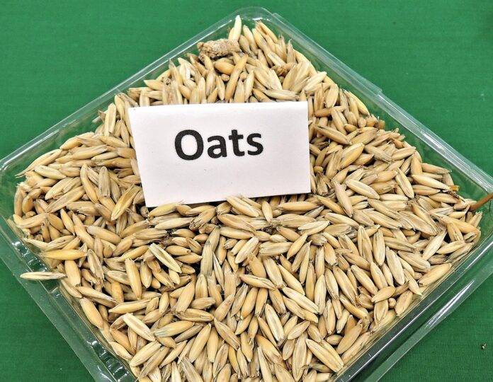 Premium packaging formats used in adaptogenic and nootropic foods