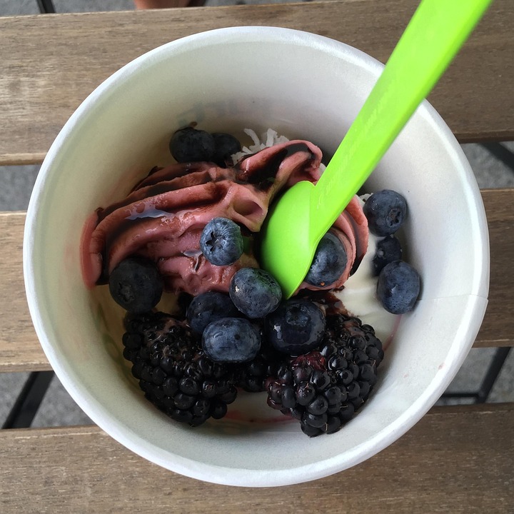 Pricing and Profitability in the Frozen Yogurt Manufacturing Business Pricing and Profitability in the Frozen Yogurt Manufacturing Business