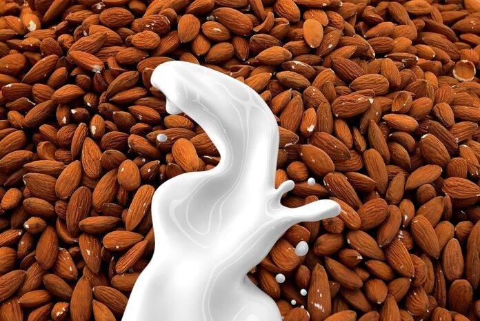 Private Label Versus Heritage Brands in the Almond Milk Aisle